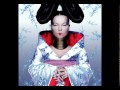 Björk - Unravel - Homogenic 