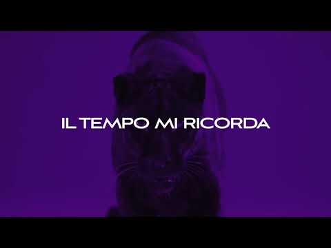 L'elfo - Pantera (Official Video)