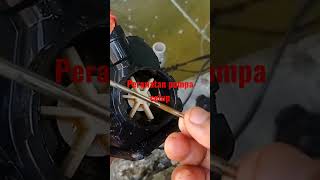 Download lagu koi pond pump maintenance mp3