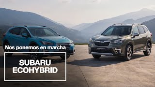 Gama Subaru ecoHYBRID #NOSPONEMOSENMARCHA Trailer