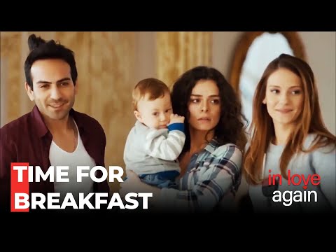 Şekercizades Accept Selim - In Love Again