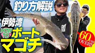 【釣り方】今マゴチが熱い!!伊勢湾HOW TOボートマゴチ
