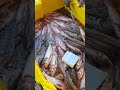 B Grade Machhali Live Giant Katla Fish Cutting Skills Fast Expert Fish Aquarium Shorts