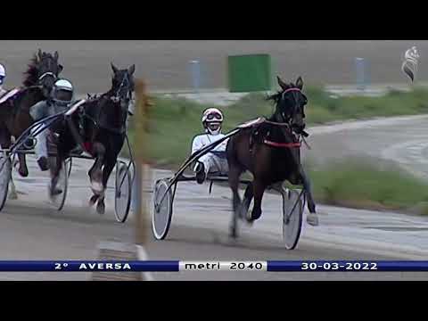 Aversa trotto 30 Marzo 2022 - 2° Corsa