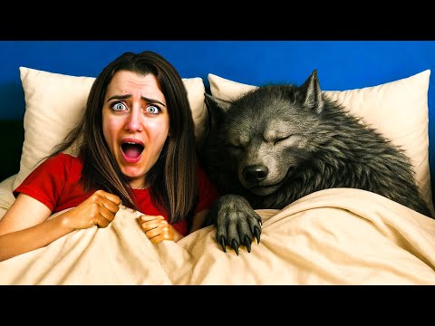C'È UN LUPO MANNARO CHE DORME NEL MIO LETTO!!!
