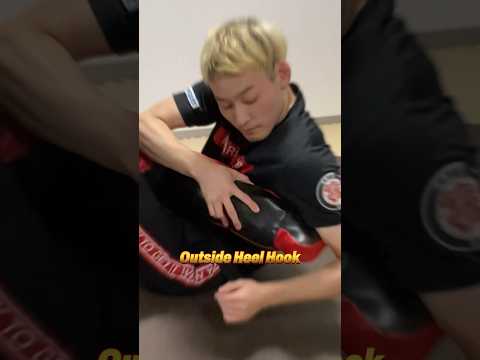 LEG LOCKS🦵足関節技特集 #格闘技 #グラップリング #grappling #jiujitsu #bjj #ブラジリアン柔術 #総合格闘技 #足関節 #leglock #leglocks