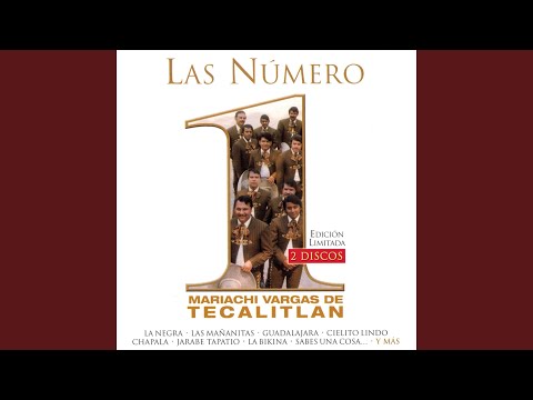 El Cascabel