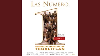 El Cascabel Music Video