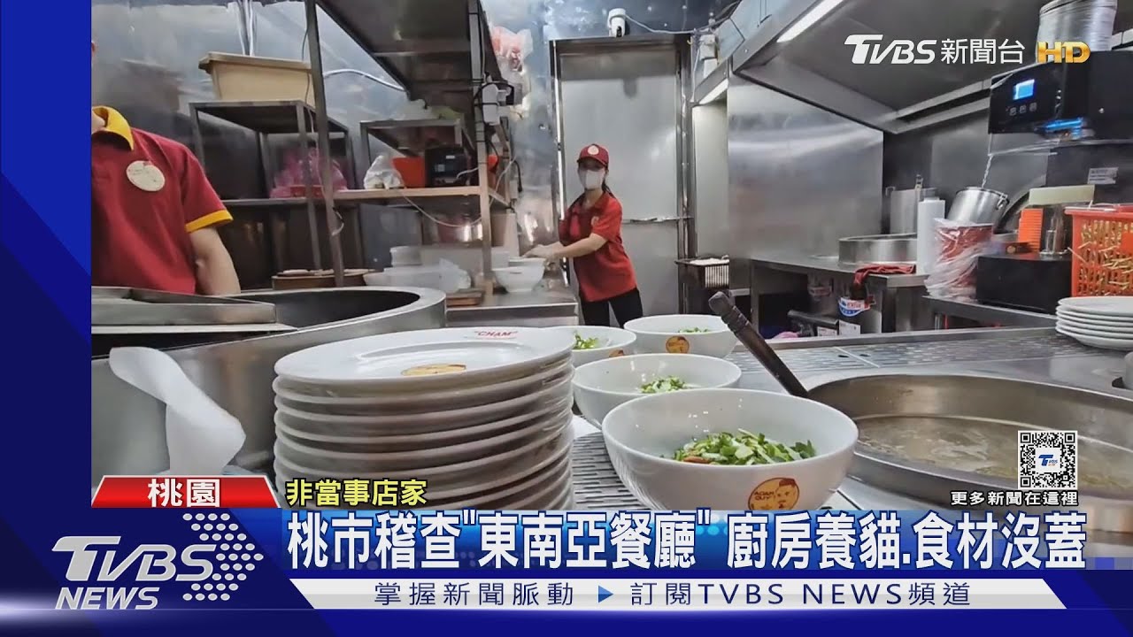 桃市稽查「東南亞餐廳」!廚房養貓、食材沒蓋