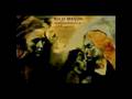 Willy Mason - Fear No Pain 
