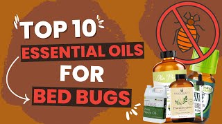 Top 10 Essential Oils To Kill Bed Bugs Quickly & Effectively