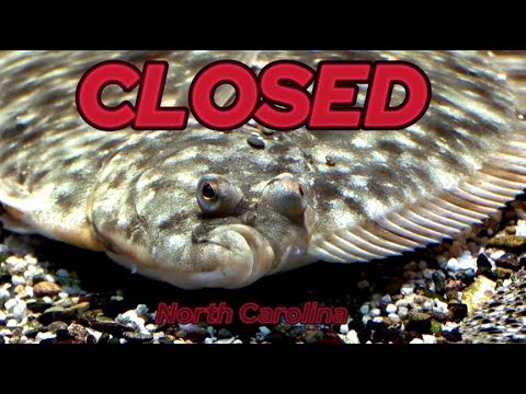 2024 North Carolina Flounder Season Remains Closed