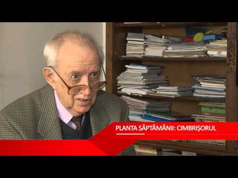 Mereu in Forma - Tratamentul care iti ia durerea cu mana: Osteopatia