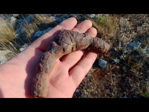 Ağacın Altındaki Gizemli Kasadan Çıkardığım Define !!!