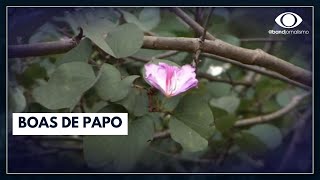 Miniatura do vídeo