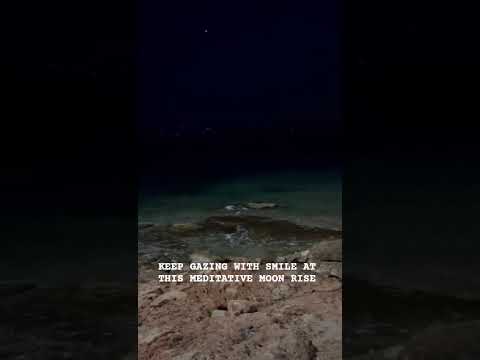 Black cat and the Beach. cannot be more auspicious moment to feel self love