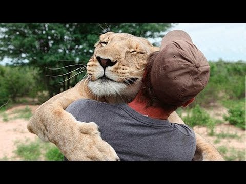 50 ¡Momentos increíbles en los que los animales se reúnen con sus dueños después de años!