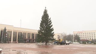 Установка главной городской ёлки