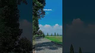 Download lagu Story wa Gus iqdam,//kata kata bijak gus iqdam #shorts mp3 Download lagu Story wa Gus iqdam,//kata kata bijak gus iqdam #shorts mp3