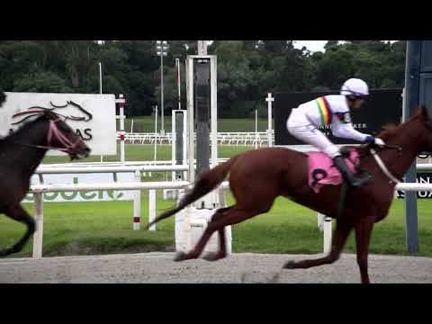 220430 c12 ROYAL BOY