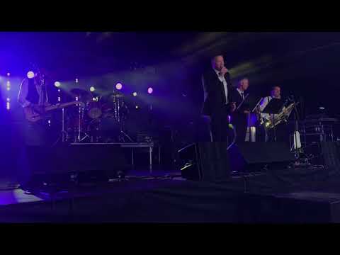 The Misfitz - Suspicious Minds