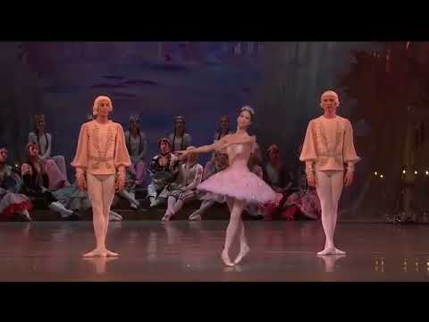 Renata Shakirova David Zaleyev Nutcracker Mariinsky Pas De Deux