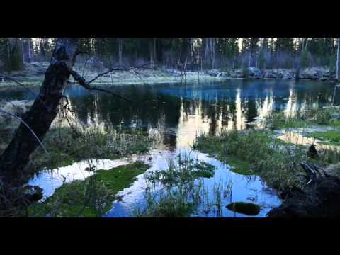 SALMO 70 (69) IMPLORAZIONE NELL’ANGUSTIA