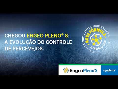 SYN 026 19 ENGEO MILHO REDE DISPLAY 600x314 2