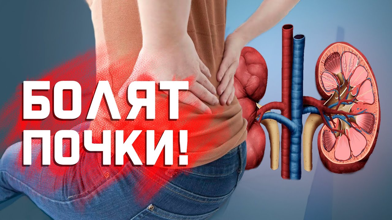 Когда поясница болит из-за почек