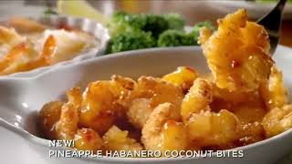 Red Lobster Endless Shrimp TV Commercial, 'Kind of a Big Deal'