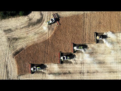 Best of Raps-Ernte | FENDT CLAAS CASE NH JD | 2/3 ▶ Agriculture Germanyy