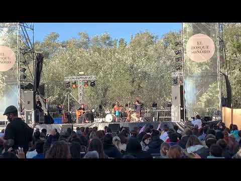 STAY HOMAS “Apolo” El Bosque Sonoro Mozota - Zaragoza 27/9/2020