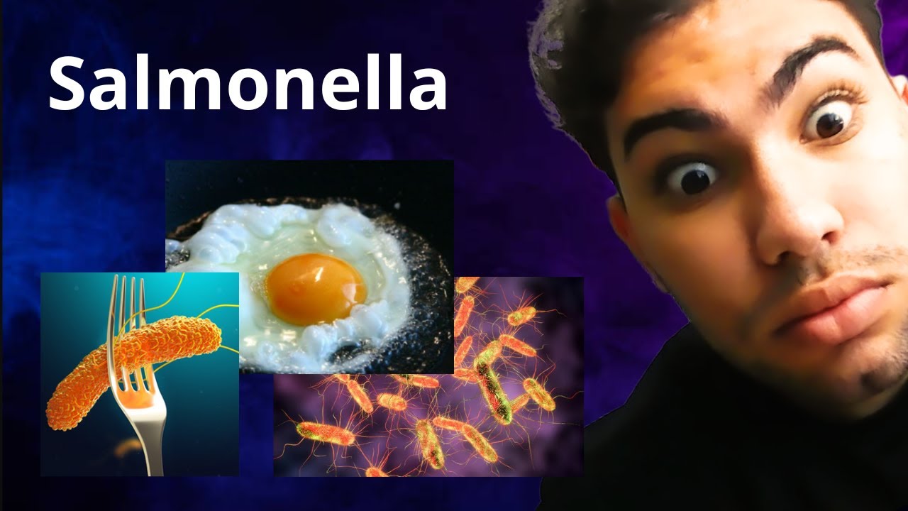 Microbiologia - Tudo sobre Salmonella!!!!