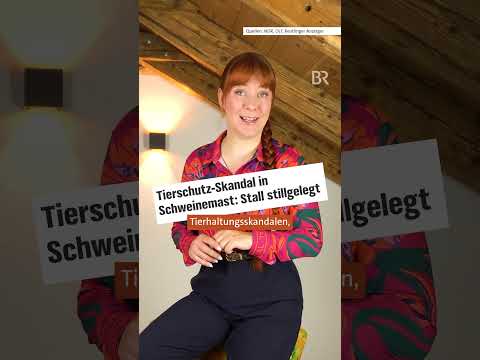 Video Thumbnail: Wurst ist Wurst und Veggie ist Veggie. #shortvideo #news #vegan