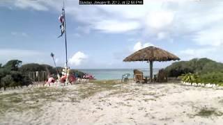 Hidden Treasure Webcam - January 8, 2012