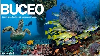 Buceo: los mejores destinos para bucear