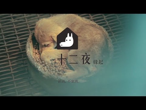 預告圖片