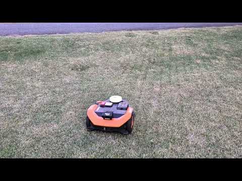 User submitted video