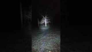 Surefire M640V. The IR capability isn't worth sacrificing the white light IMO #surefire #nightvision