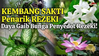 Download lagu Kembang Sakti Penarik Rezeki..! DAYA GAIB BUNGA PENYEDOT REZEKI || TANAMAN PENARIK REZEKI mp3