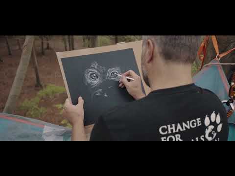 Five Flow Media video.