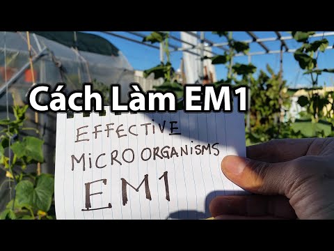 How to Make EM1 at Home - How to Make EM1 at Home Toan Trinh