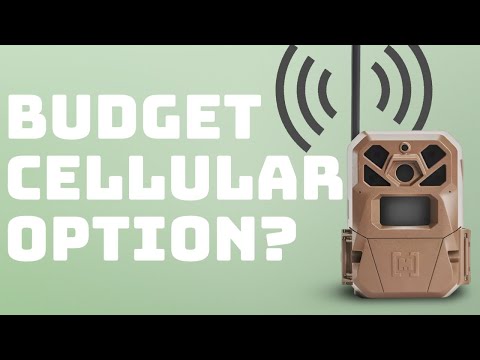 Moultrie Edge 2 Review: Best Cellular Trail Camera?