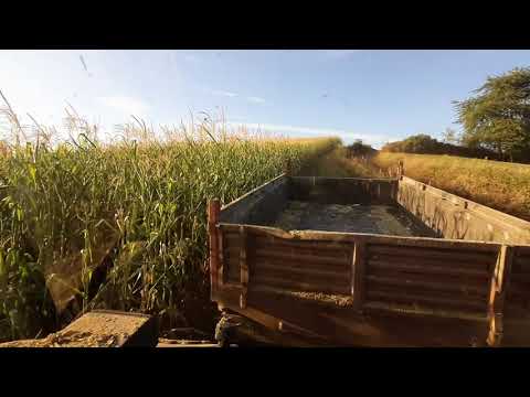 Silaza 2021 class jaguar 690