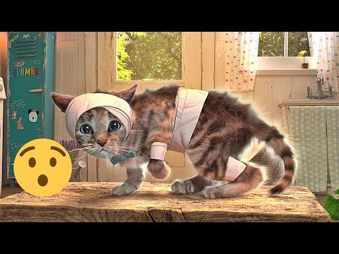 Kleines Kätzchen unterwegs 🙀 Ein süßes Katzen Spiel für Kinder (deutsch)