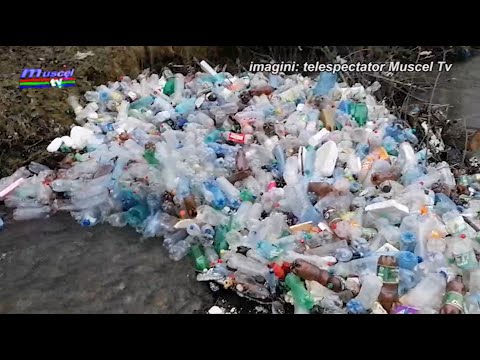 Jurnal MUSCEL TV 19.05.2021 Activități de Ziua Mondială a Mediului