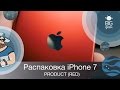 Мобильный телефон Apple iPhone 7 32GB Black MN8X2RM/A | MN8X2FS/A - відео