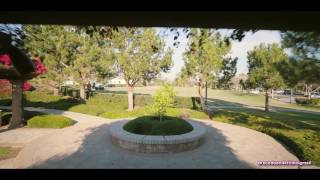 In The Garden, Connie Smith, by Bruce Doan 4K Film