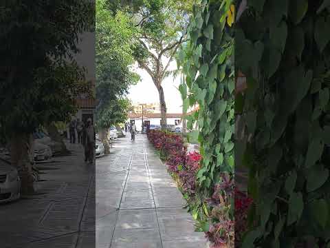 El Hatillo estado Miranda. Gran Caracas.