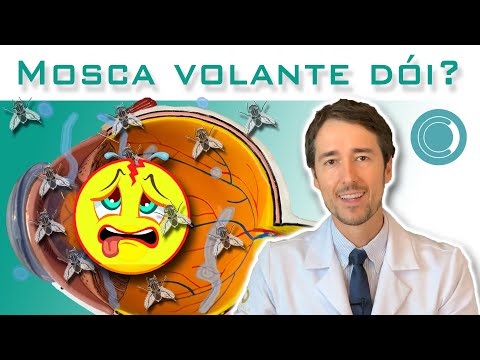 Mosca volante causa dor no olho ??